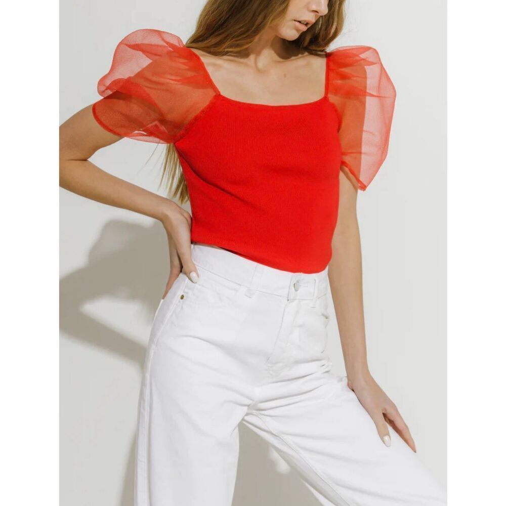 Endless Rose Sheer Puffy Sleeve Top | Red in Small